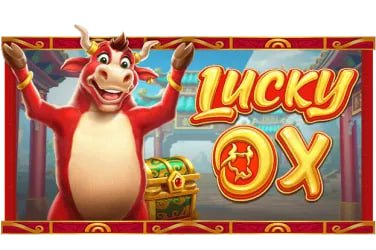6655bet3