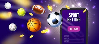 6655bet3